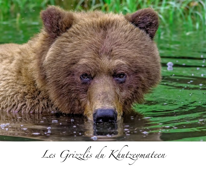 Bekijk Les Grizzlis du Khutzeymateen op Patrick Arrigo