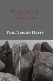 Pinpointing the Points book cover