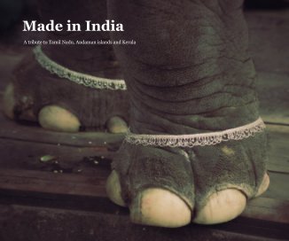 Made in India book cover