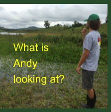 What is Andy looking at? book cover