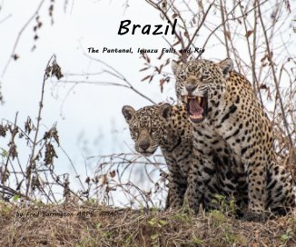 Brazil - The Pantanal, Iguazu Falls and Rio book cover