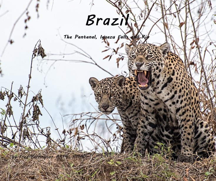 Ver Brazil - The Pantanal, Iguazu Falls and Rio por Fred Barrington ARPS, AFIAP