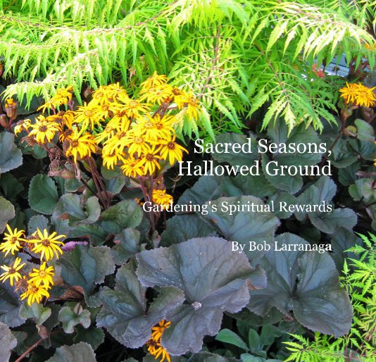 View Sacred Seasons, Hallowed Ground by Bob Larranaga