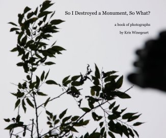 So I Destroyed a Monument, So What? book cover