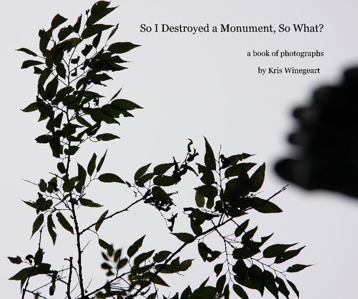View So I Destroyed a Monument, So What? by Kris Winegeart