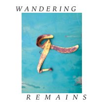 WANDERING REMAINS book cover