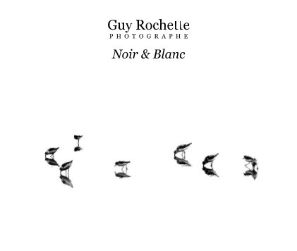Guy Rochette P H O T O G R A P H E Noir et Blanc book cover