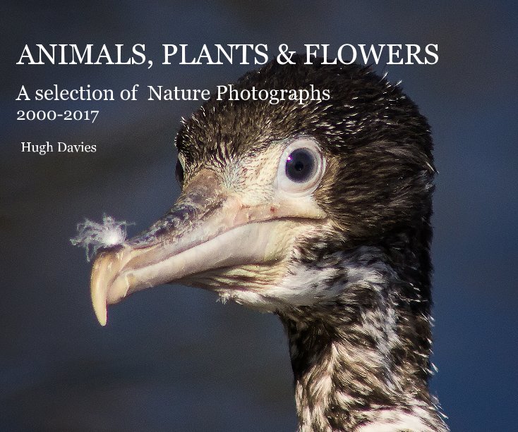 View ANIMALS, PLANTS & FLOWERS by Hugh Davies