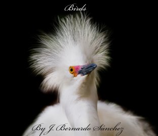 Birds book cover