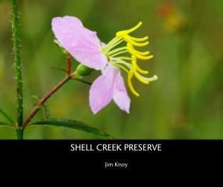 SHELL CREEK PRESERVE book cover