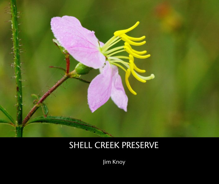 View SHELL CREEK PRESERVE by Jim Knoy