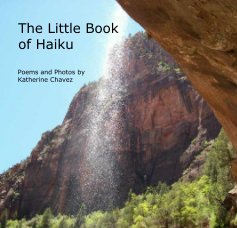 The Little Book of Haiku book cover