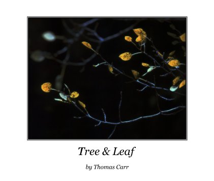 Tree & Leaf book cover