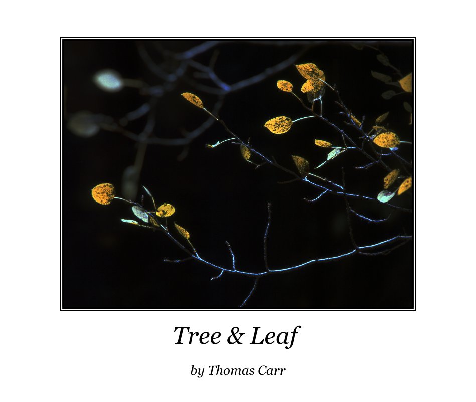 Tree & Leaf nach Thomas Carr anzeigen