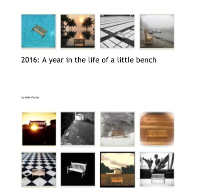 2016: A year in the life of a little bench book cover