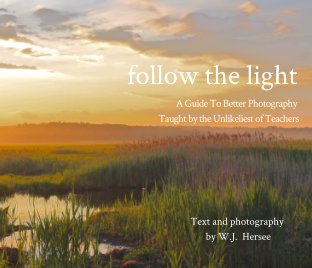 follow the light book cover