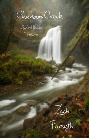 Chickoon Creek:  Zach's Hidden Treasures book cover