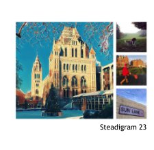 Steadigram 23 book cover
