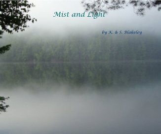 Mist and Light book cover