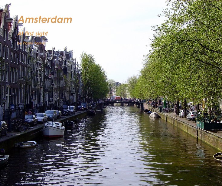 View Amsterdam by Paola Farina