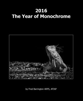 2016 The Year of Monochrome book cover