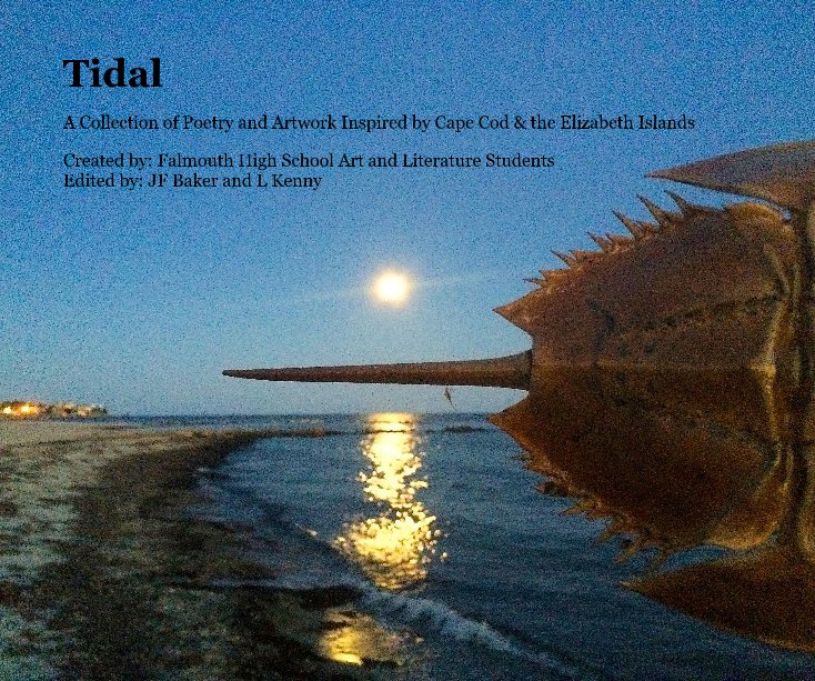 View Tidal by Edited by JF Baker, L Kenny