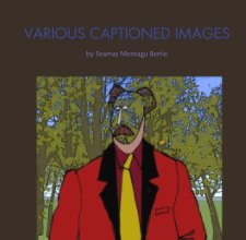 VARIOUS CAPTIONED IMAGES book cover