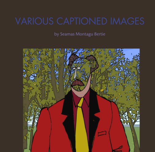 View VARIOUS CAPTIONED IMAGES by Seamas Montagu Bertie