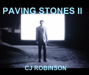 Paving Stones II book cover