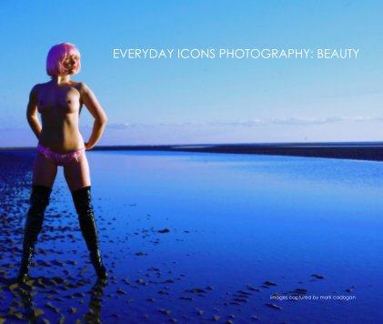 EVERYDAY ICONS PHOTOGRAPHY: BEAUTY book cover