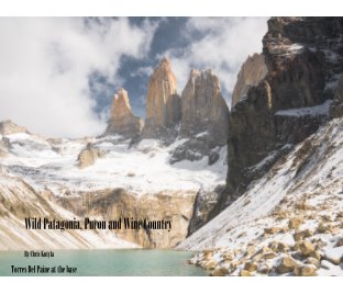 Wild Patagonia, Pucon and Wine Region book cover