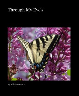 Through My Eye's book cover