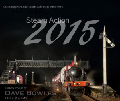 Steam Action 2015 book cover