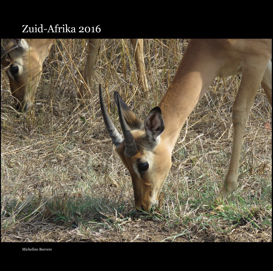 View Zuid-Afrika 2016 by Micheline Beevers