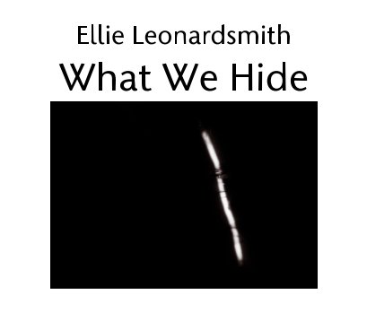 What We Hide book cover