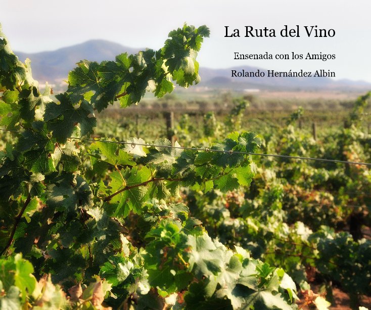 View La Ruta del Vino by Rolando Hernandez Albin