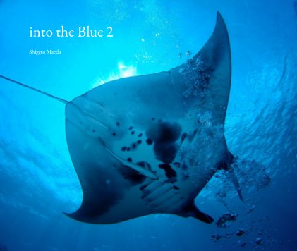 into the Blue 2 Shigeto Maeda book cover