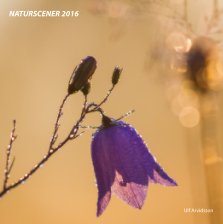 Naturscener 2016 book cover