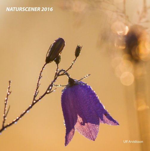 Ver Naturscener 2016 por Ulf Arvidsson