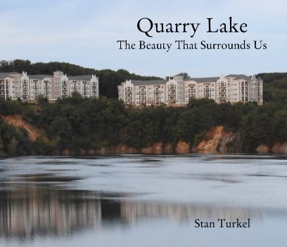 Quarry Lake book cover