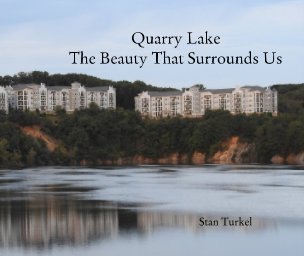 Quarry Lake book cover