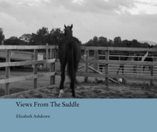 Views From The Saddle book cover