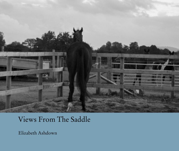 View Views From The Saddle by Elizabeth Ashdown