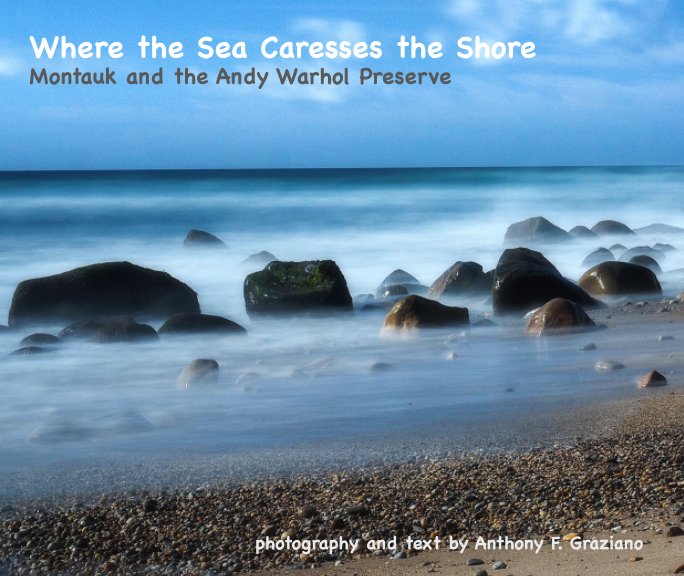 View Where the Sea Caresses the Shore - Montauk and the Warhol Preserve by Anthony F. Graziano