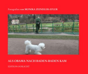 ALS OBAMA NACH BADEN-BADEN KAM book cover
