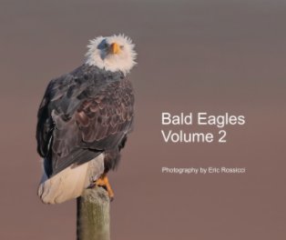 Bald Eagles Volume 2 book cover