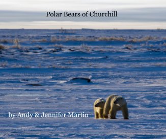 Polar Bears of Churchill book cover