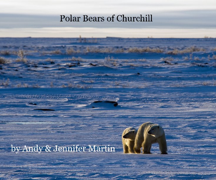 Ver Polar Bears of Churchill por Andy and Jennifer Martin