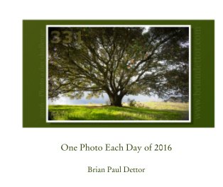 One Photo Each Day of 2016 book cover