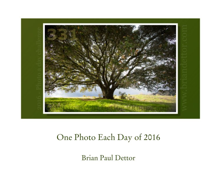 View One Photo Each Day of 2016 by Brian Paul Dettor